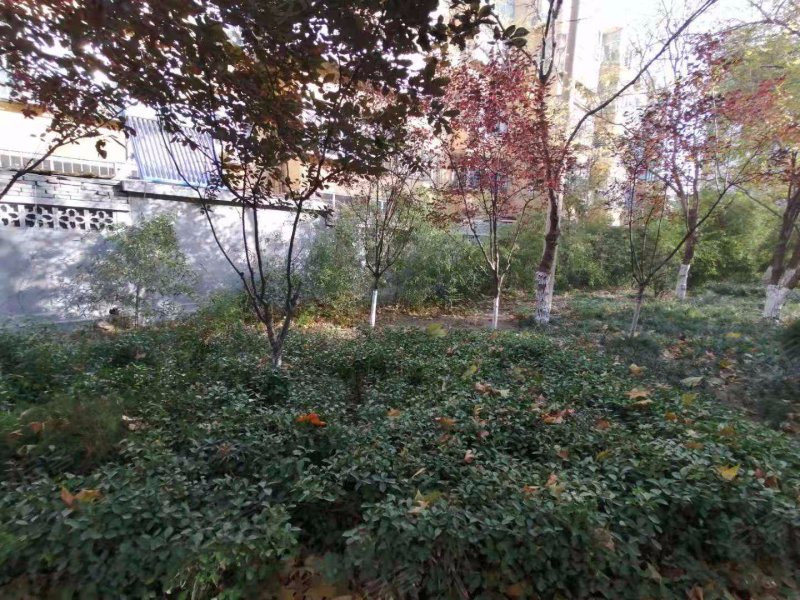 金御融城(定陶)