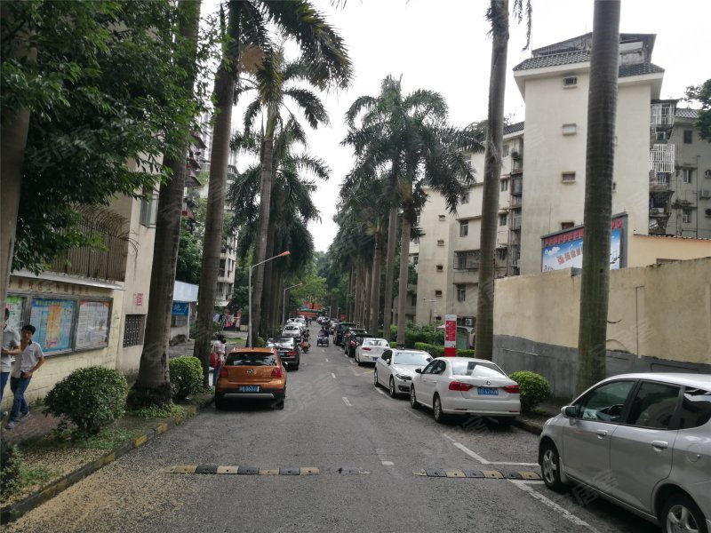 怡景花园(罗湖),怡景路2003号-深圳怡景花园(罗湖)二手房,租房,房价