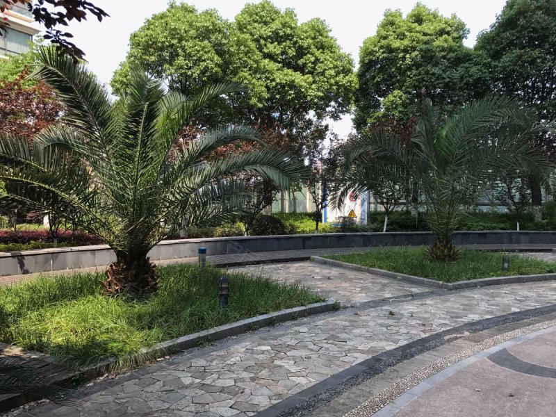 星海虹城,民主二路58号-武汉星海虹城二手房,租房,房价-武汉安居客