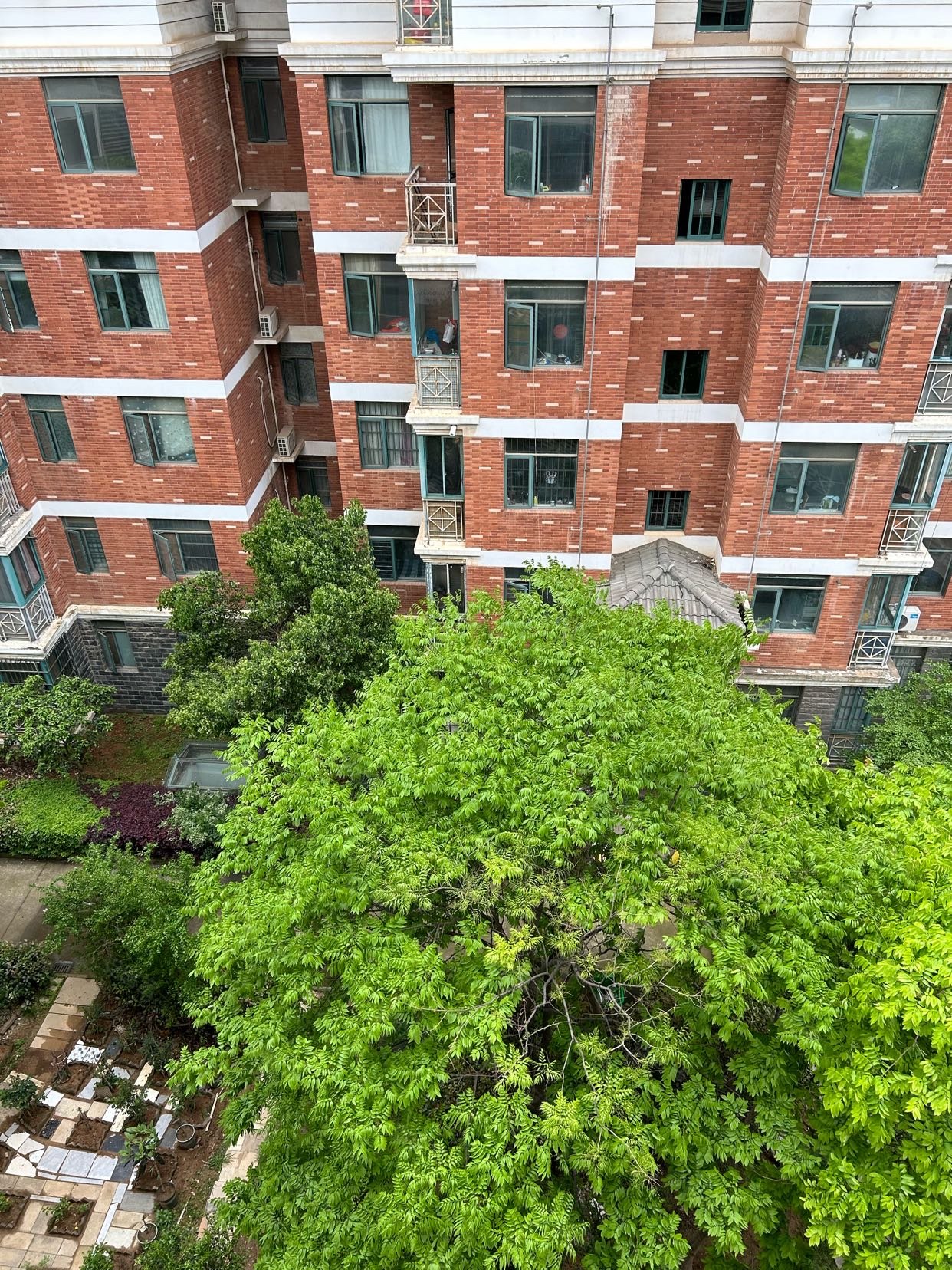 龙城天居园4室3厅2卫