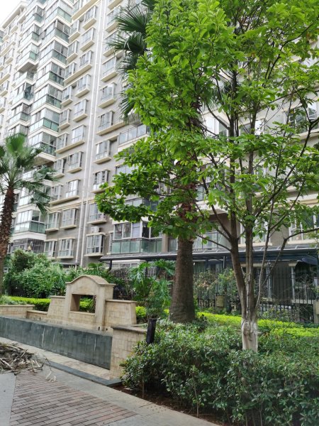 华都花园b区,前兴路,近逸康路-昆明华都花园b区二手房,租房,房价-昆明