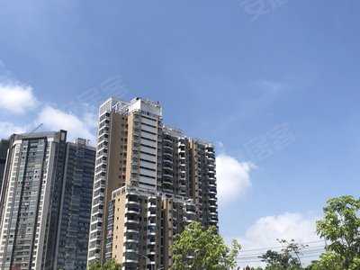 金茂广场,水仙大街69号 - 漳州金茂广场二手房,租房,房价-漳州安居客