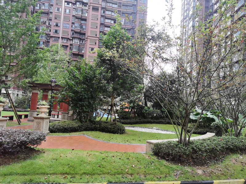 蓝光香江国际二期二区,嘉西路258号-南充蓝光香江国际二期二区二手房