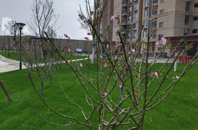 【观溪郡小区二手房,景德镇观溪郡小区二手房出售信息】- 上海安居客