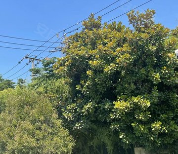 中海翡翠湖岸(一期)