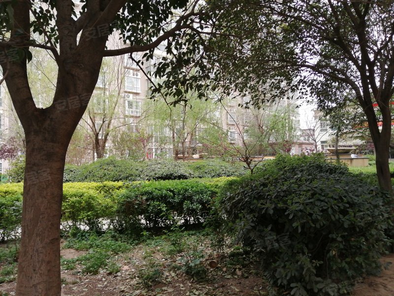 康桥名苑,东风路49号-新乡康桥名苑二手房,租房,房价-新乡安居客