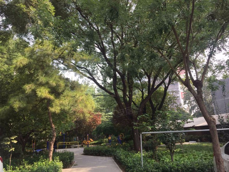 牛王庙小区,东三环北路-北京牛王庙小区二手房,租房,房价-北京安居客