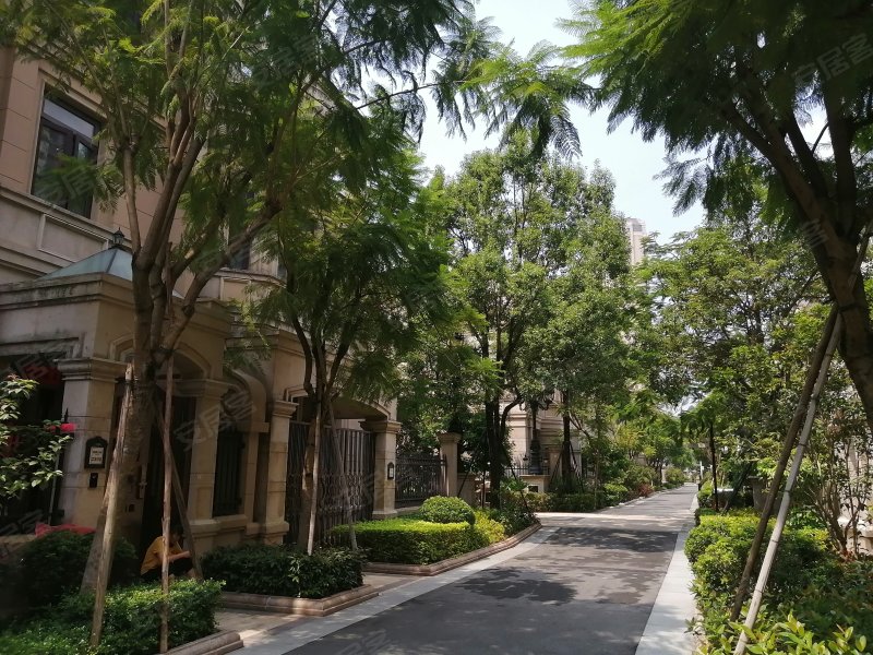 中海九号公馆(别墅)