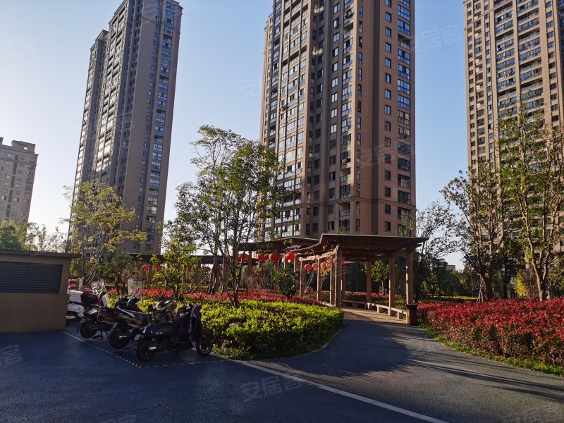 清溪凯旋门,长江南路-池州清溪凯旋门二手房,租房,房价-池州安居客