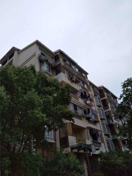 闲林山水梅兰苑