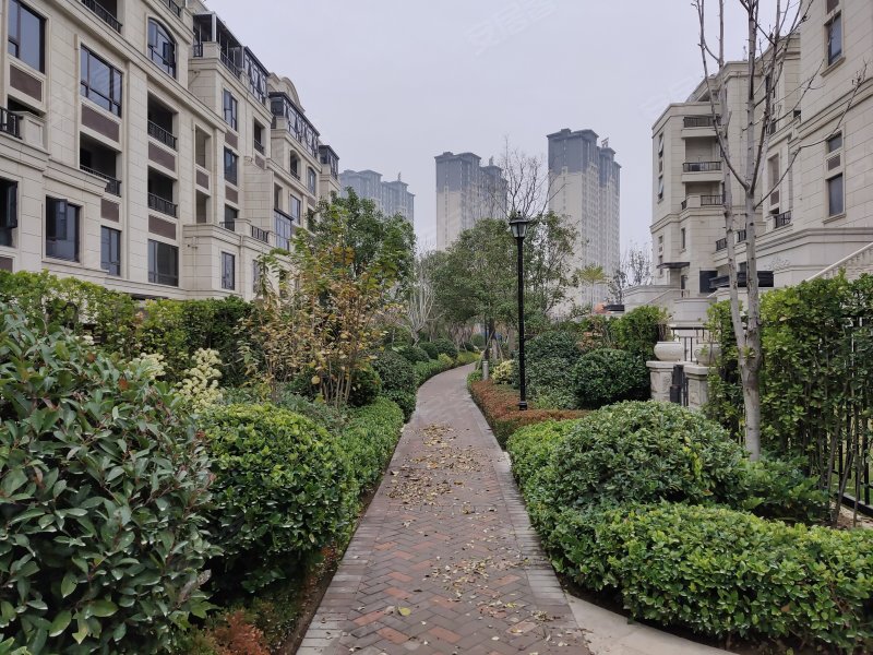 郑开橄榄城(五期)