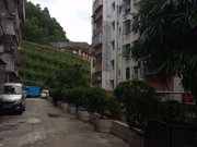 罗湖小区图片