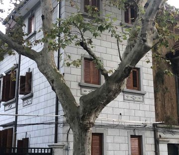 康平路191号小区