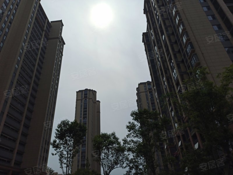 滨江花园,阳德西路-宣城滨江花园二手房,租房,房价-宣城安居客