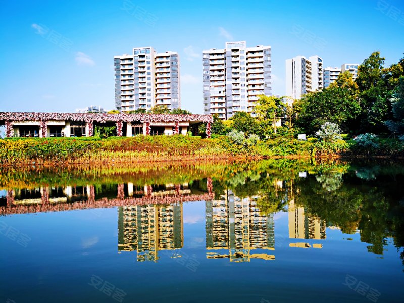 碧桂园湖光山色