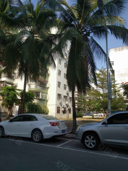 丹州小区,迎宾路193号-三亚丹州小区二手房,租房,房价-三亚安居客