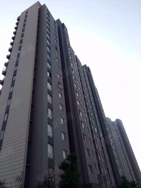 美罗家园金丰苑第三居民区