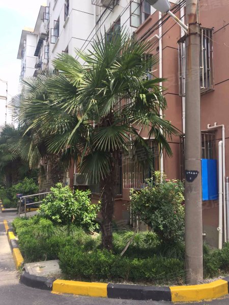 江桥三村九街坊 