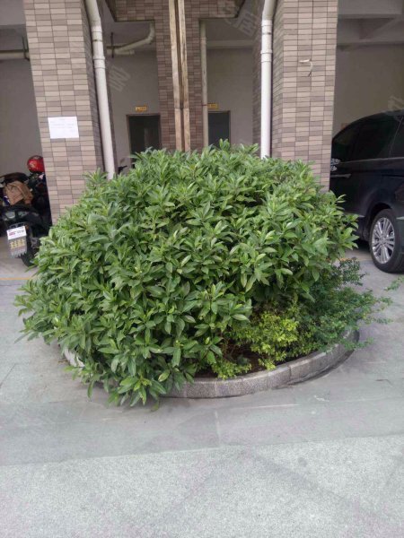 嘉裕华轩,南兴路-佛山嘉裕华轩二手房,租房,房价-佛山安居客