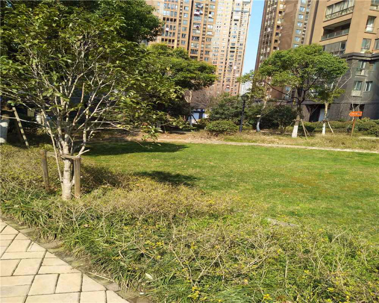 新欧风花园(二期),中山路,近民主街-无锡新欧风花园(二期)二手房,租房