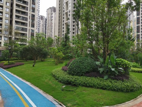 保利观澜(三期),凤澜路86号-重庆保利观澜(三期)二手房,租房,房价