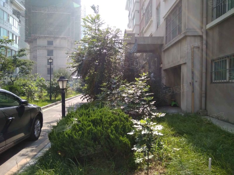 金沙花园,长江中路5号-青岛金沙花园二手房,租房,房价-青岛安居客