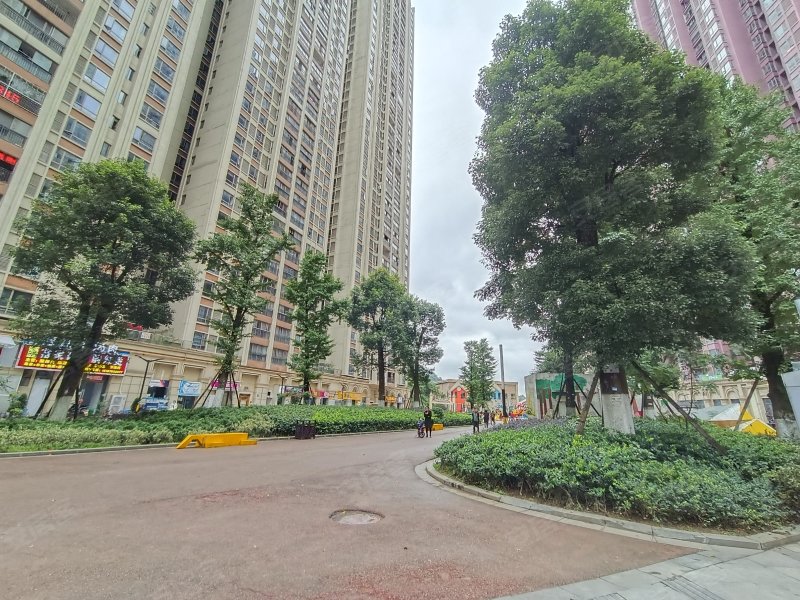 花果园半山小镇w2区