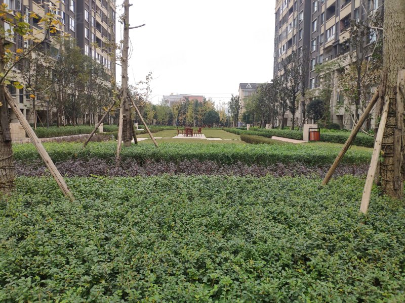 隆鑫鸿府,宝环路,近宝石路-重庆隆鑫鸿府二手房,租房,房价-重庆安居客