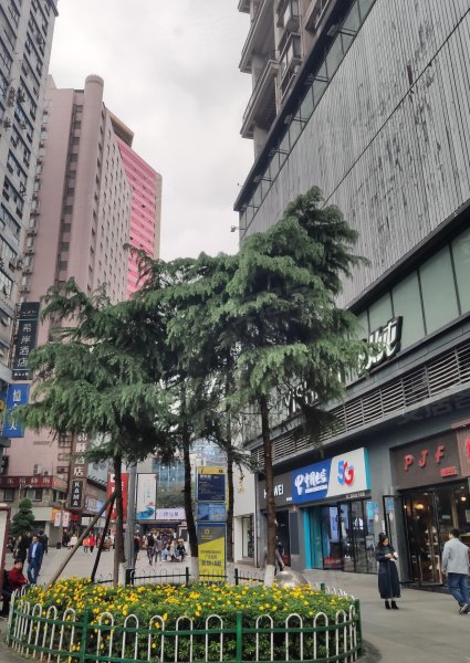 昌龙商务大厦,惠工路35号-重庆昌龙商务大厦二手房,租房,房价-重庆