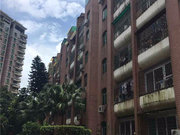 白石洲小区图片
