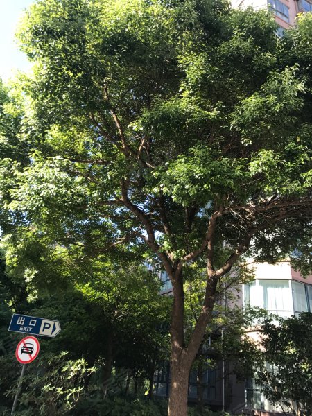 阳光美景城(二期) 