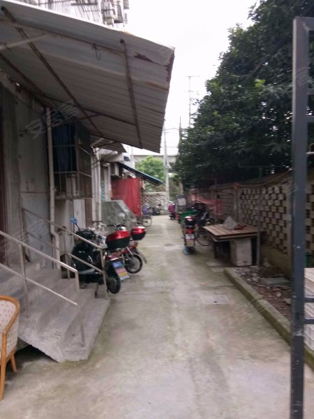 金桥路835弄小区 