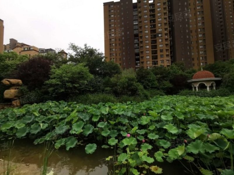 九洲花园(三期),常澄路,近龙虎大街-常州九洲花园(三期)二手房,租房