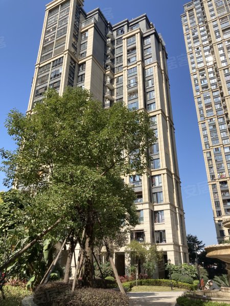 阳光凡尔赛宫a区