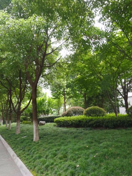 海棠园,兴隆大街199号-南京海棠园二手房,租房,房价-南京安居客