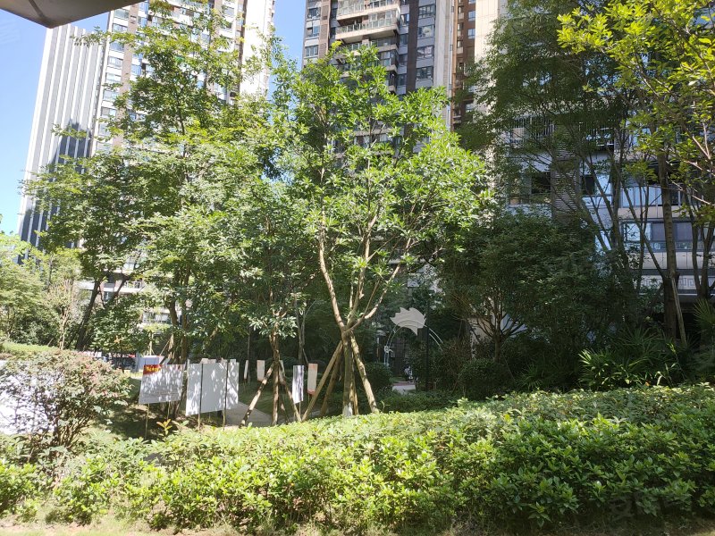 鲁能山水原著原香岭