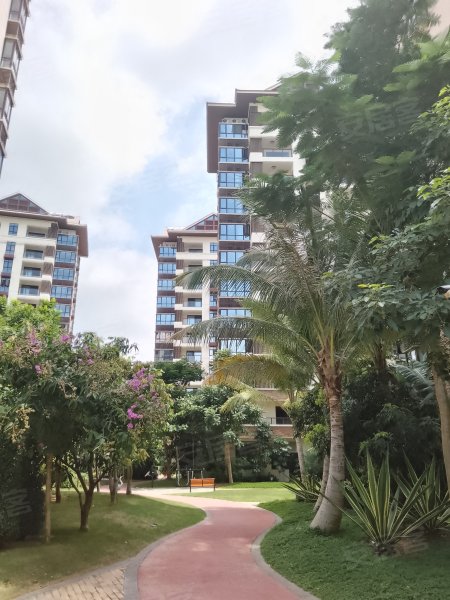 海棠花开,神泉大道-三亚海棠花开二手房,租房,房价-三亚安居客