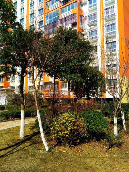 凤凰曦城东苑,周山河路-泰州凤凰曦城东苑二手房,租房,房价-泰州安居