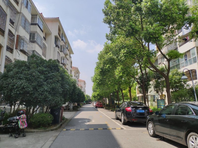 银欣花苑(奉贤)