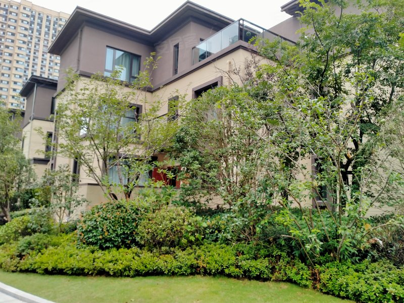 远洋万和上宁府(别墅)