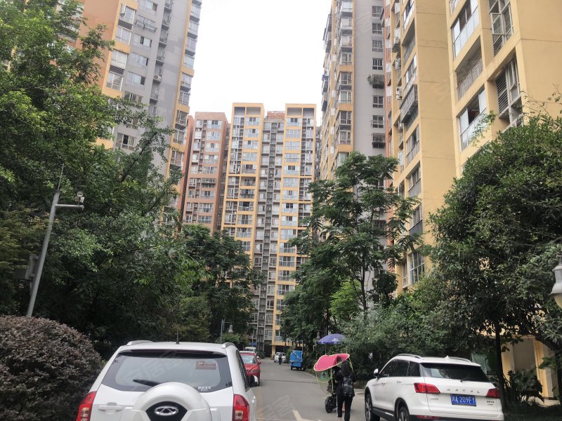 清溪雅筑,培风路271号-成都清溪雅筑二手房,租房,房价-成都安居客