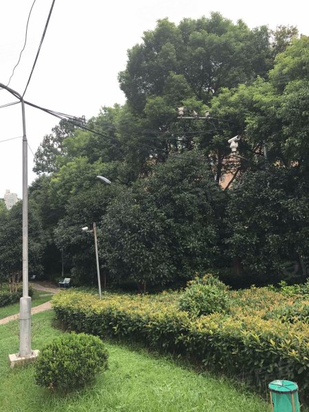 常德路999号,胶州路718弄2号,胶州路728号-上海胶州教师公寓二手房