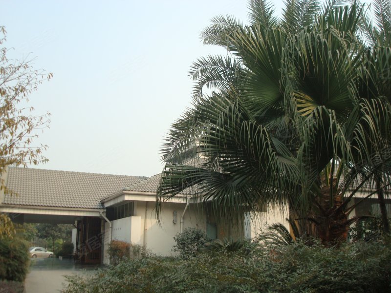 君临天下花园别墅