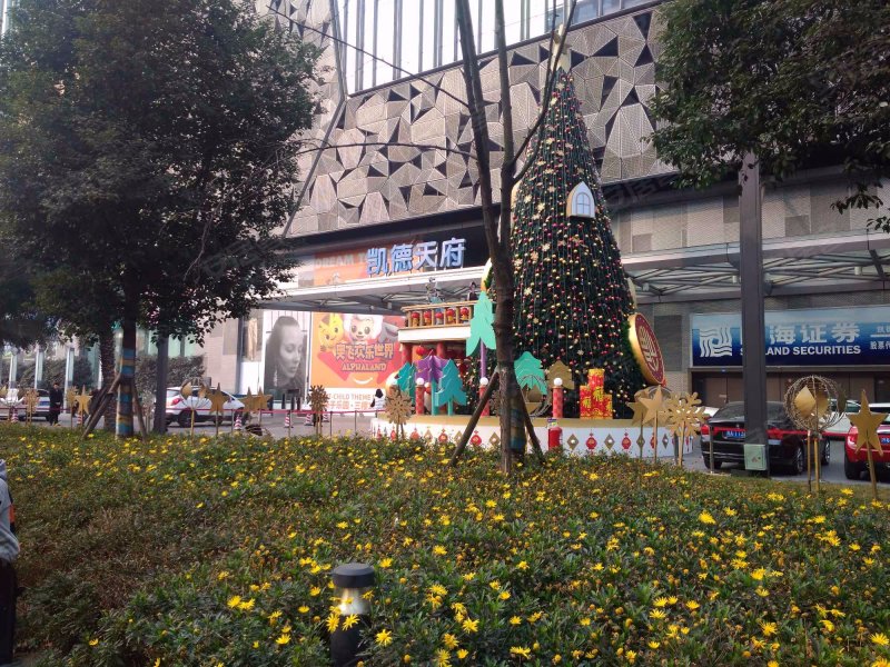 凯德天府,天仁路388号-成都凯德天府二手房,租房,房价-成都安居客