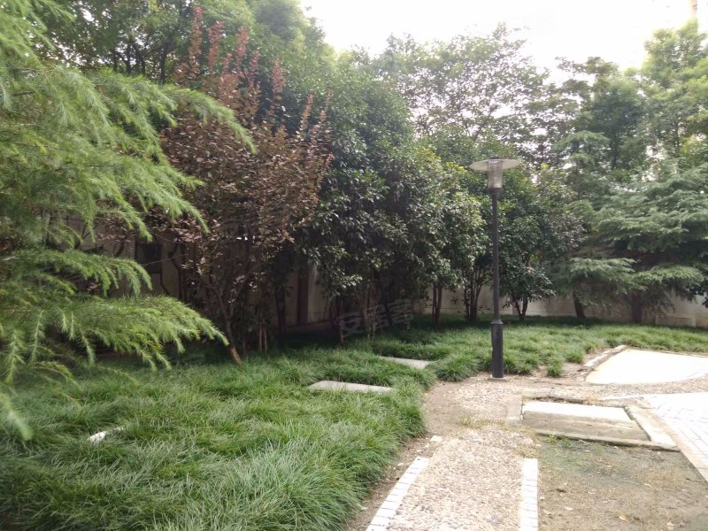 金鼎公寓(浦东) 