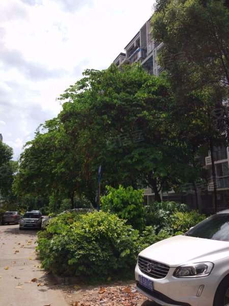 滨江丽景临江园,闽江大道90号-福州滨江丽景临江园二手房,租房,房价