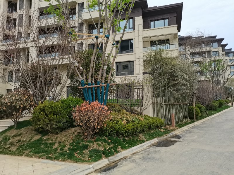 国悦半山九里,樱桃园路-泰安国悦半山九里二手房,租房,房价-泰安安居