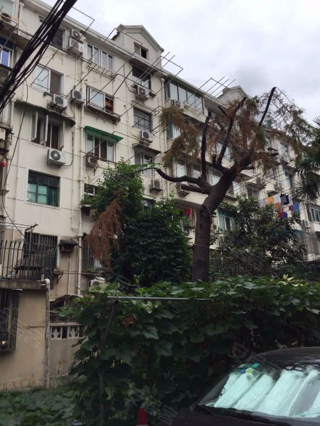 上南五村(121弄15支弄) 