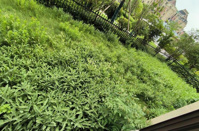 天居珑悦府4室2厅145.22㎡79.8万二手房图片