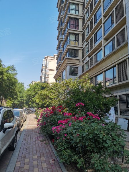 水城国际,淮河路362号-东营水城国际二手房,租房,房价-东营安居客